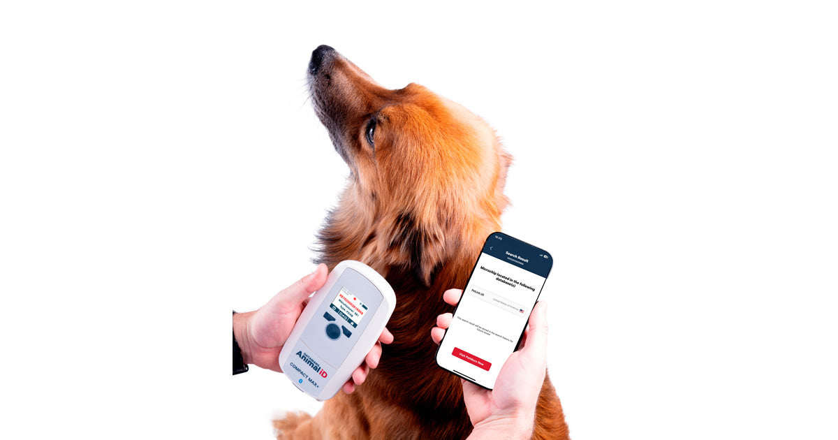 scanning a dog microchip