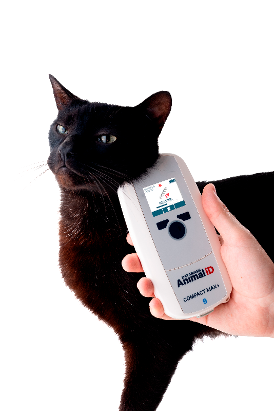 Person holding a pet microchip reader next to a black cat on a white background