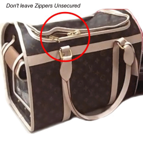 Pet Carrier Safety Locks