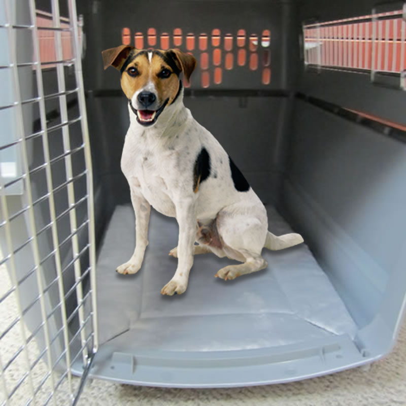 Self Warming Pet Crate Pads Small