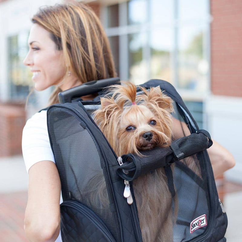 Snoozer roll around pet carrier on woman's back - its a backpack!