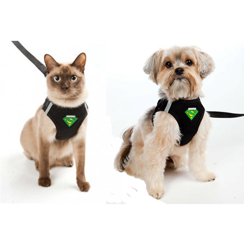 Cat and dog wearing matching  tsa
harnesses on a white background