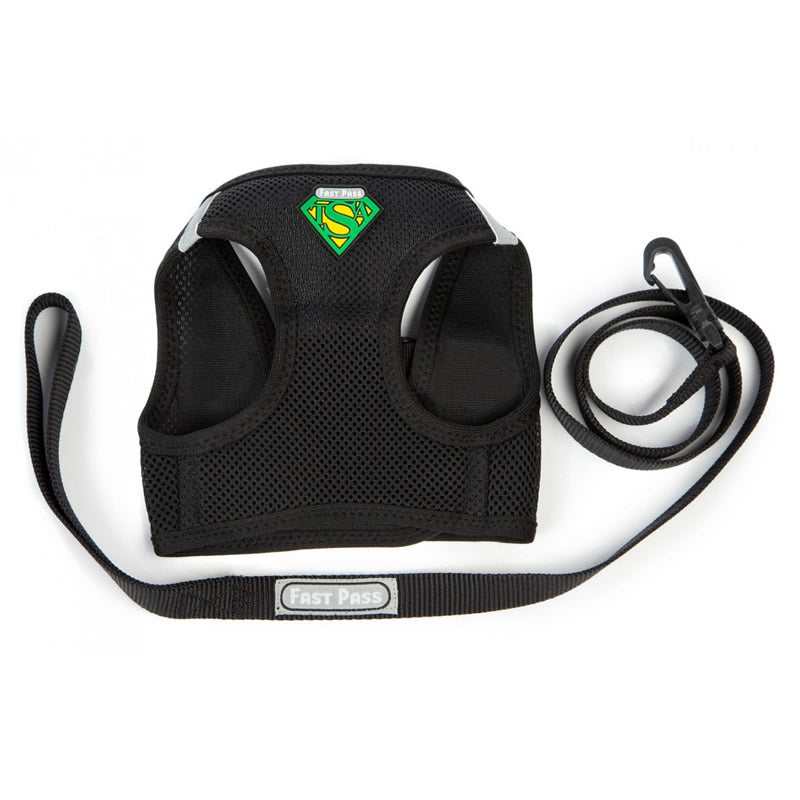 Non-metallic pet harness and leash with white background