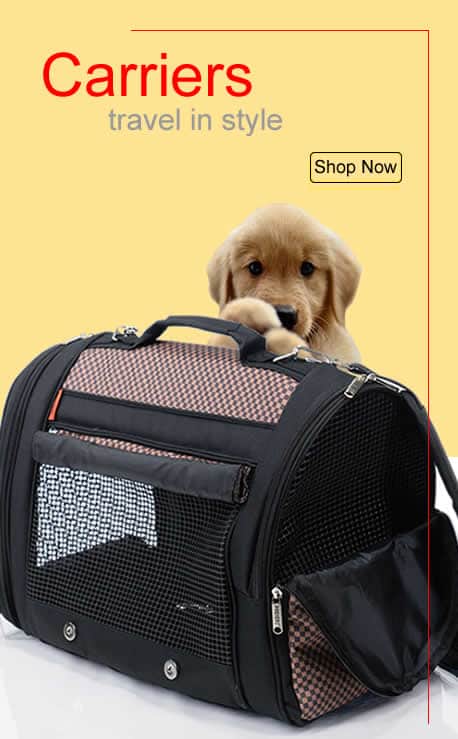 dog transport carrier